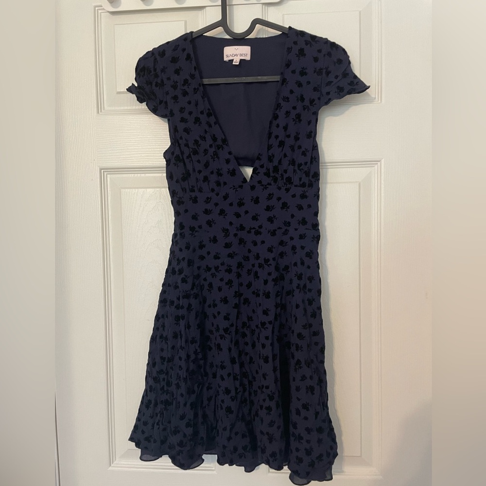 Aritzia Sunday Best Rand Dress Velvet Floral - Picture 2 of 4